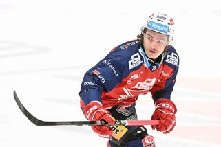 Pardubicím v závěru základní části nepomůže Tourigny, dostal trest za napadení rozhodčího | Livesport.cz